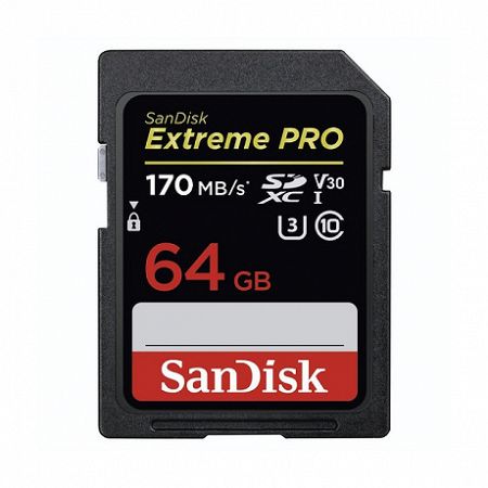 SanDisk Extreme Pro SDXC 64GB V30 C10/UHS-I/U3 (SDSDXXY-064G-GN4IN)